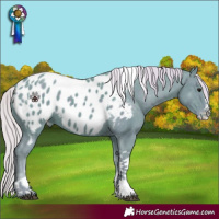Horse Color:Watercolor Silver Smoky Black Splash Tobiano Appaloosa Rabicano