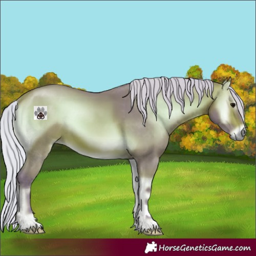 Horse Color:Watercolor Silver Bay Onyx 