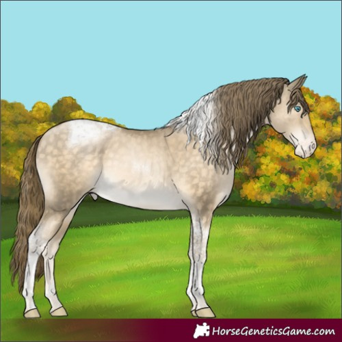 Horse Color:Buckskin Pearl Tobiano Varnish