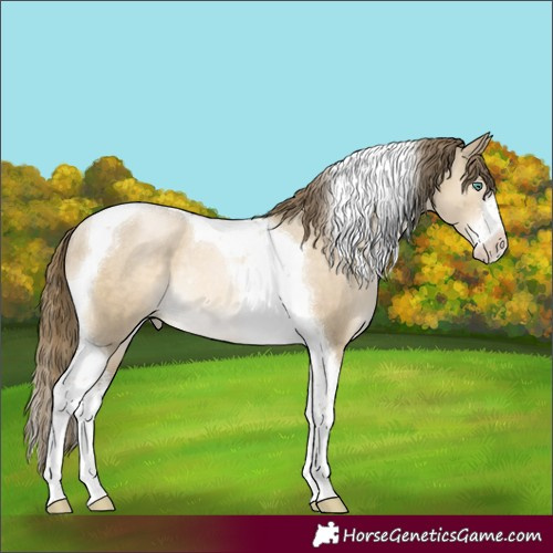 Horse Color:White Spotted Smoky Grullo Snowdrop Tobiano Rabicano Brindle