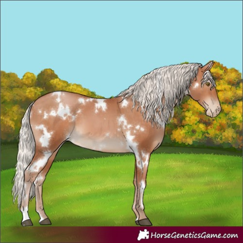 Horse Color:White Spotted Silver Brown Pearl