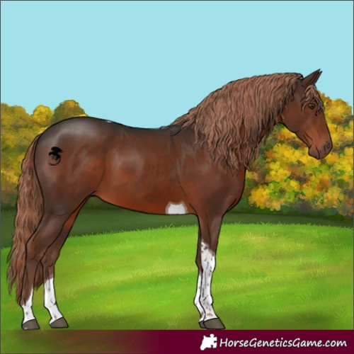 Horse Color:Liver Chestnut Tobiano 