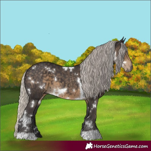 Horse Color:White Spotted Silver Smoky Black