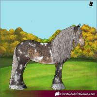 Horse Color:White Spotted Silver Smoky Black 