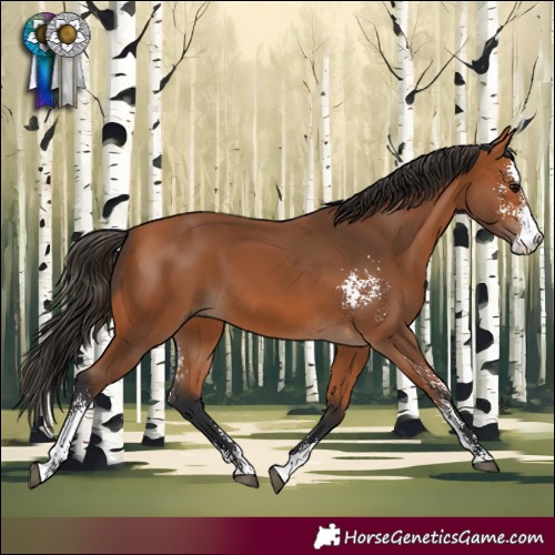 Horse Color:Bay Sabino 