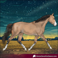 Horse Color:Bay Dun