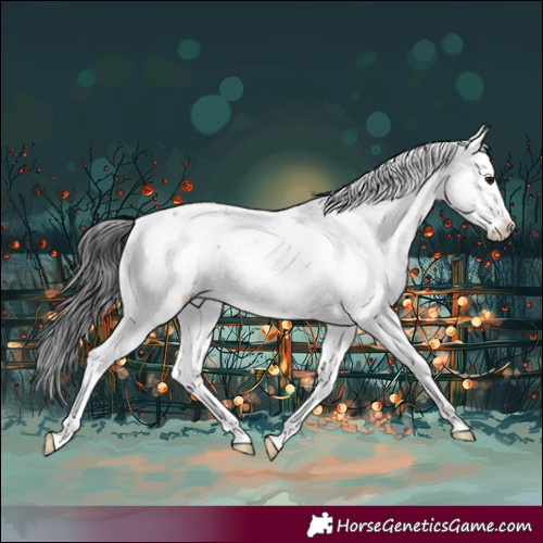 Horse Color:Black Sabino Rabicano