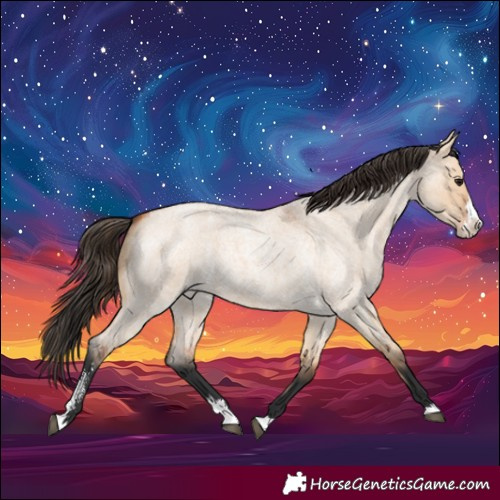 Horse Color:Bay Roan Dun Sabino Splash 