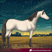 Horse Color:Buckskin Dun