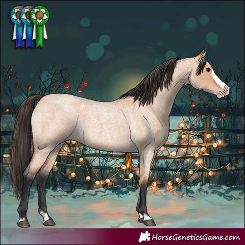 Horse Color:Bay Roan Dun Sabino Splash 