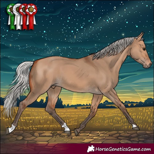 Horse Color:Silver Bay Dun 