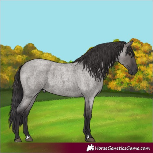 Horse Color:Smoky Grullo Roan