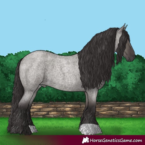 Horse Color:Smoky Grullo Roan 