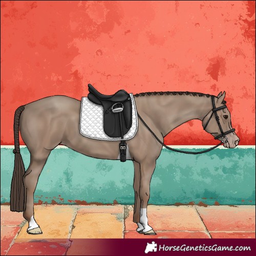 Horse Color:Classic Champagne Tobiano 