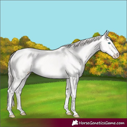 Horse Color:Perlino Tobiano 