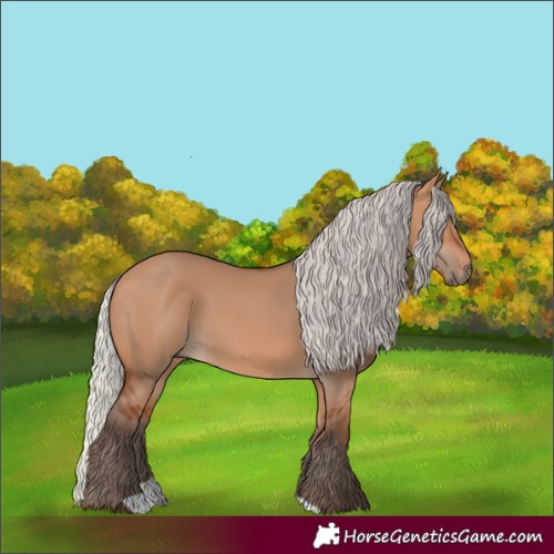 Horse Color:Silver Bay Dun 