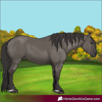 Horse Color:Smoky Grullo 