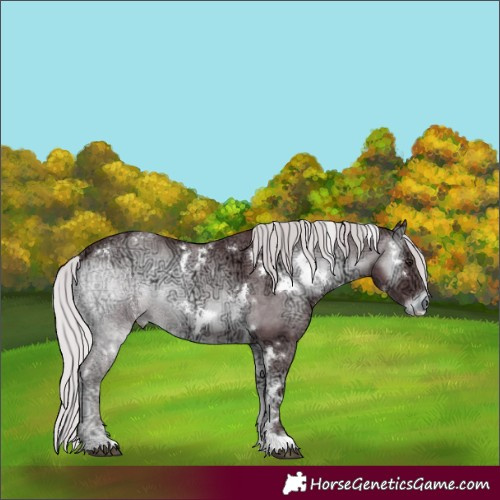 Horse Color:White Spotted Chocolate Silver Blue Onyx Chinchilla Ice 