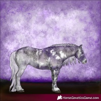 Horse Color:Watercolor White Spotted Chocolate Silver Blue Onyx Chinchilla Ice
