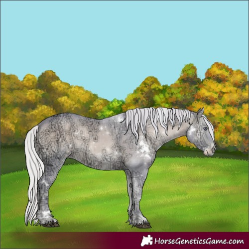 Horse Color:Watercolor White Spotted Chocolate Silver Brown Chinchilla Ice Onyx 