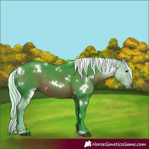 Horse Color:Watercolor White Spotted Silver Brown 