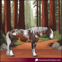 Horse Color:White Spotted Silver Brown Mushroom Sabino Splash 