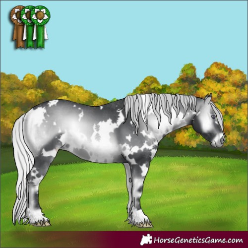 Horse Color:White Spotted Silver Brown Chinchilla Onyx 