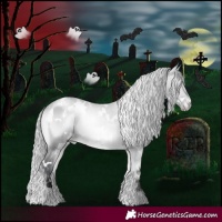 Horse Color:White Spotted Silver Brown Chinchilla Onyx