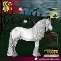 Horse Color:White Spotted Silver Brown Chinchilla Onyx