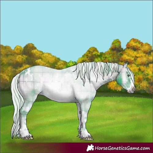 Horse Color:Watercolor Plaid  White Spotted Silver Brown Chinchilla Onyx Sabino 
