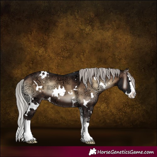 Horse Color:White Spotted Silver Brown Ice Onyx Splash 
