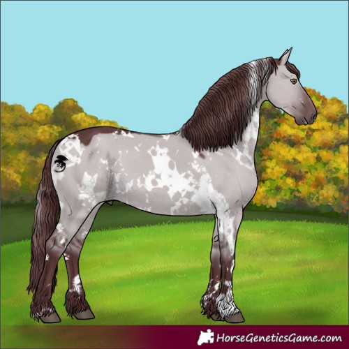 Horse Color:White Spotted Chocolate Grullo Chinchilla 