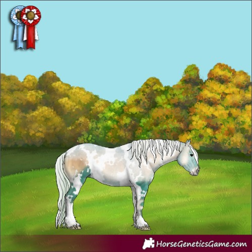 Horse Color:Watercolor White Spotted Silver Blue Onyx 