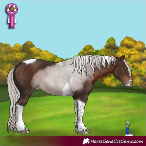 Horse Color:Silver Bay Sabino Tobiano 