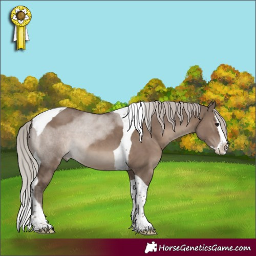 Horse Color:Silver Grullo Splash Tobiano 