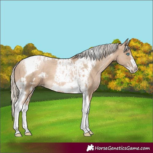 Horse Color:Chocolate Palomino Pearl Tobiano Frame  and Chocolate Palomino Pearl Tobiano Frame 