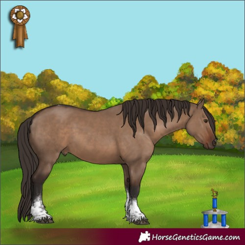 Horse Color:Liver Red Dun Tobiano 