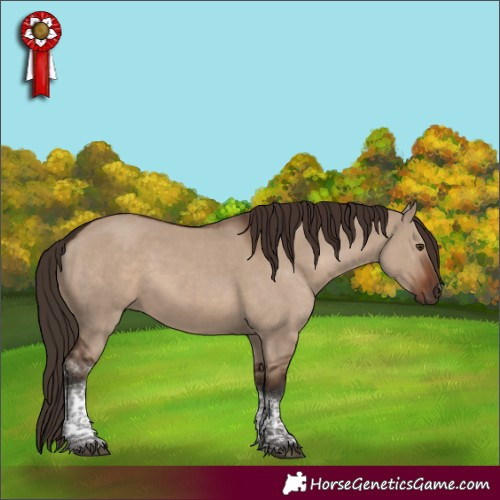 Horse Color:Liver Red Dun Tobiano 