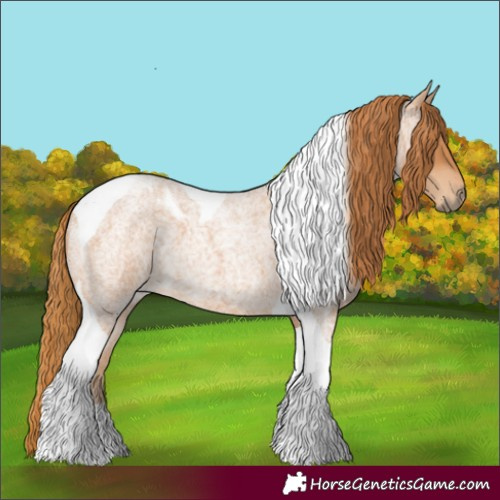Horse Color:Red Roan Tobiano 
