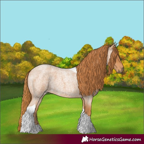 Horse Color:Red Roan Tobiano 