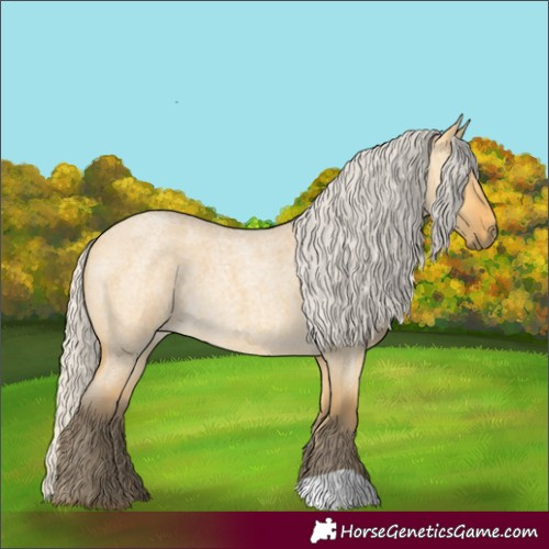 Horse Color:Silver Buckskin Roan Dun 