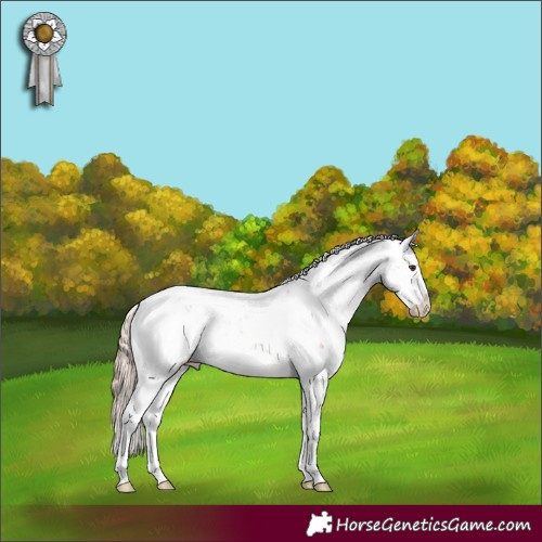 Horse Color:Chestnut Sabino 