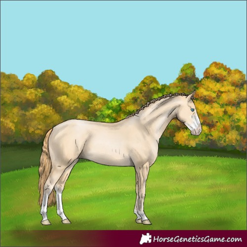 Horse Color:Buckskin Pearl Sabino 