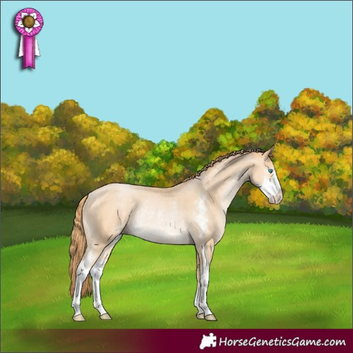 Horse Color:Buckskin Pearl Sabino Rabicano 