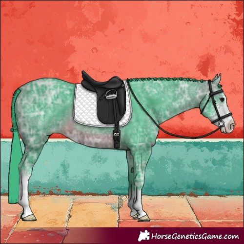 Horse Color:Watercolor Brown Ice Sabino 