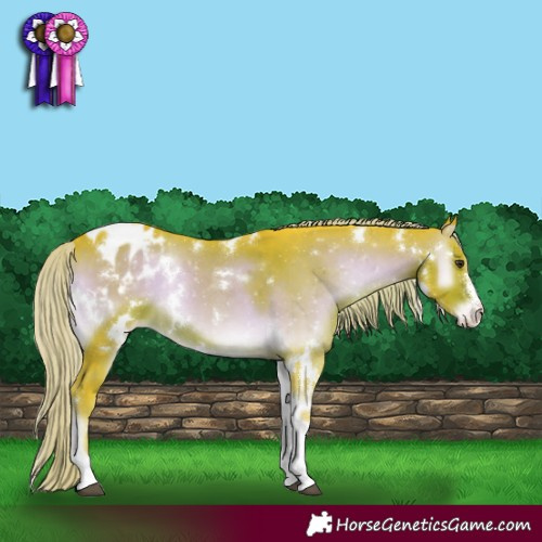 Horse Color:Watercolor White Spotted Chocolate Palomino Onyx Sabino Appaloosa 