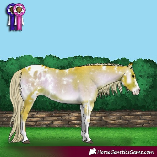 Horse Color:Watercolor White Spotted Chocolate Palomino Onyx Sabino Varnish 
