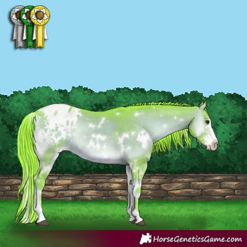 Horse Color:Watercolor White Spotted Liver Red Onyx Sabino Appaloosa Rabicano