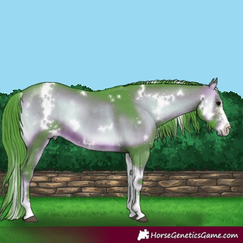 Horse Color:Watercolor White Spotted Chocolate Brown Onyx Sabino Rabicano 