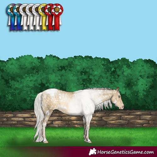 Horse Color:White Spotted Silver Buckskin Pearl Snowflake Varnish